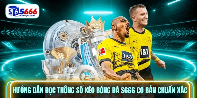 Hướng dẫn đọc thông số Kèo bóng đá S666 cơ bản chuẩn xác