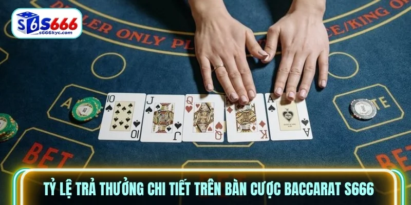 Tỷ lệ trả thưởng chi tiết trên bàn cược Baccarat S666 Tỷ lệ trả thưởng chi tiết trên bàn cược Baccarat S666